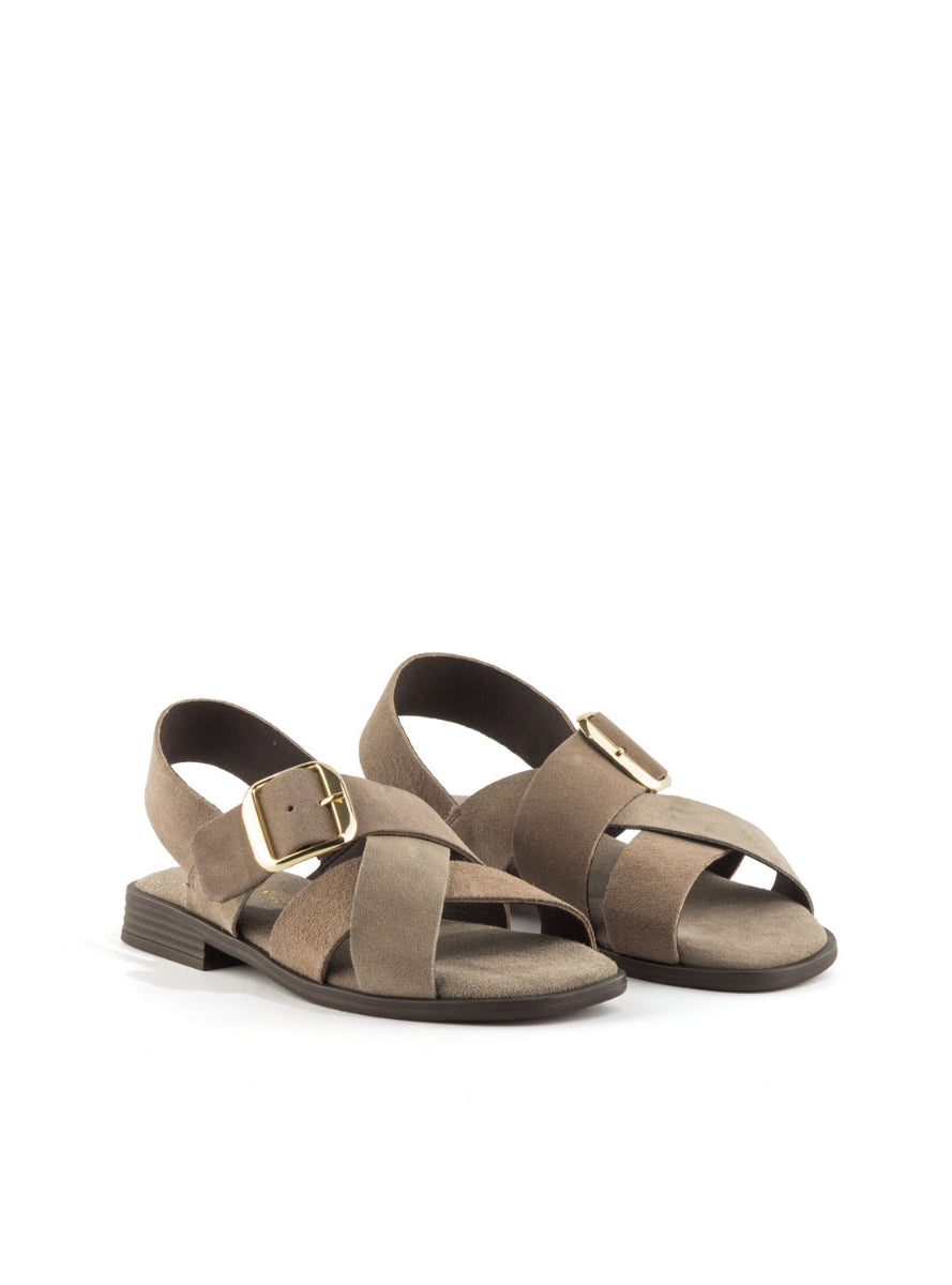 1244 BRAND T-162854 TAUPE -1
