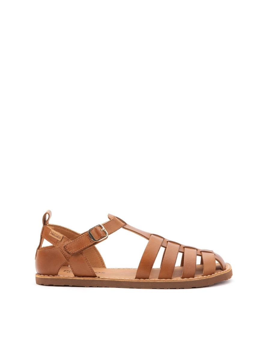 PKL W0F-0934 sra  BRANDY -2
