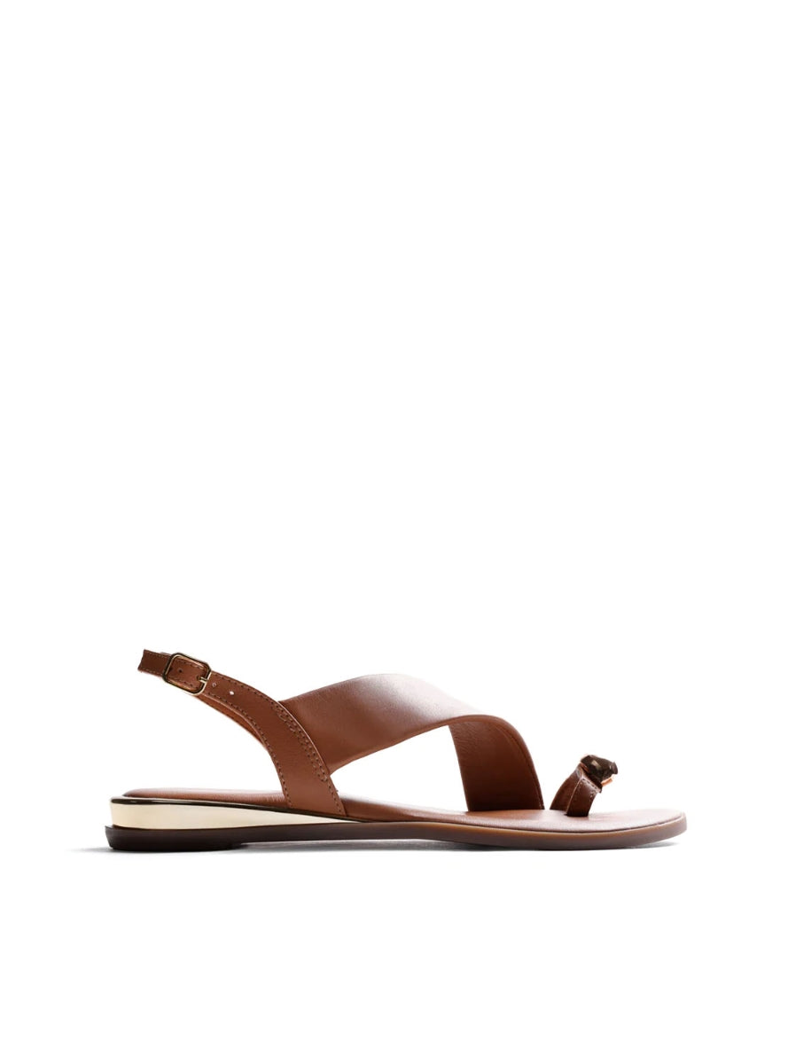 GIO 79072 STONY  CUERO -0