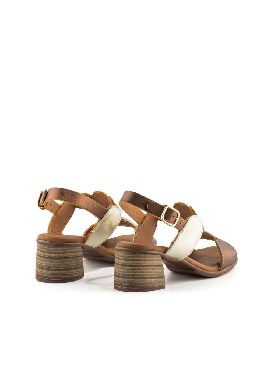 1244 BRAND T-111863 BRONCE PLATINO-2