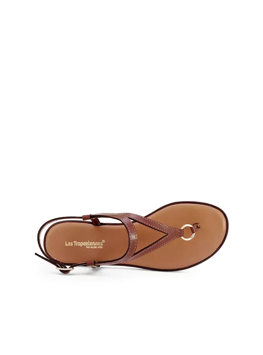 LTROP HATOME C331425 MARRON -2